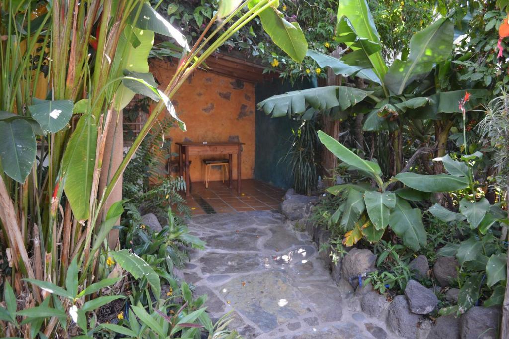 El Porvenir Hostel Los Llanos De Aridane Cameră foto