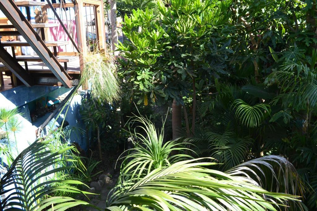 El Porvenir Hostel Los Llanos De Aridane Exterior foto